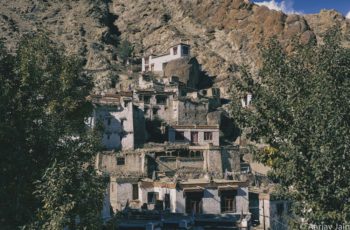 Ladakh Website-11